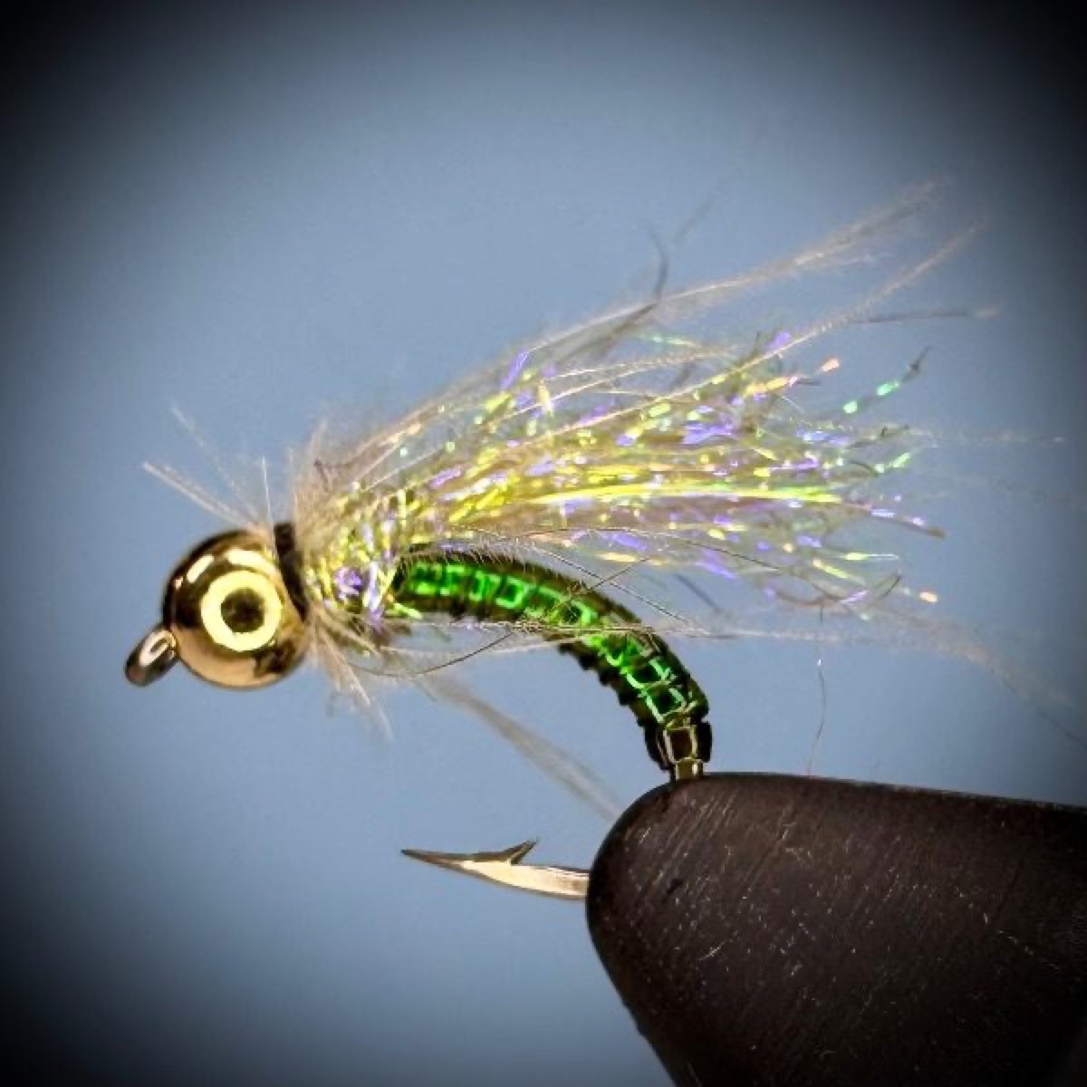 Ice Wing Caddis Pupa (variant) fly pattern tied by Joe Glessner