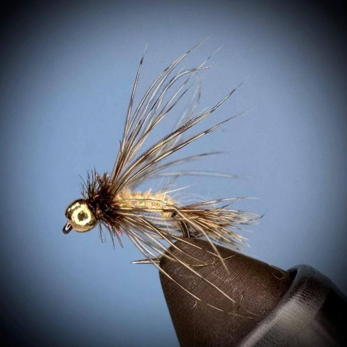 Bird of Prey Caddis fly pattern tied by Joe Glessner
