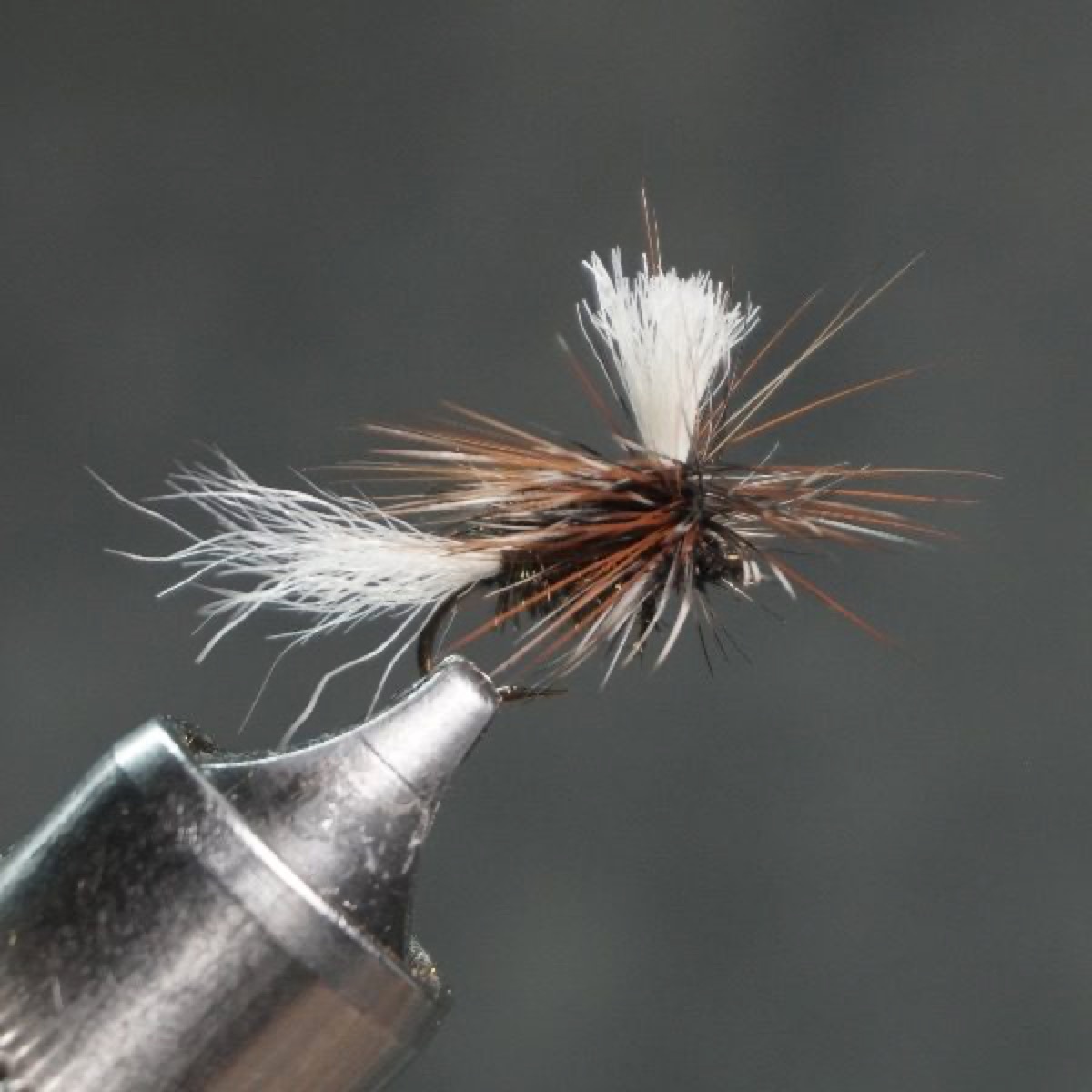 Float-N-Fool fly pattern tied by Christian Andrews