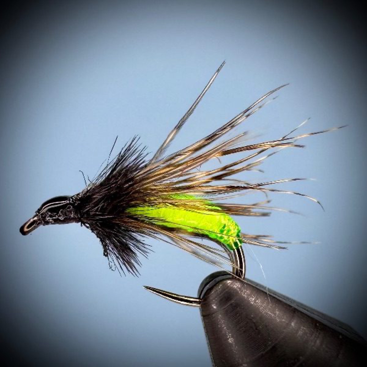 Barr's Graphic Caddis fly pattern tied by Joe Glessner
