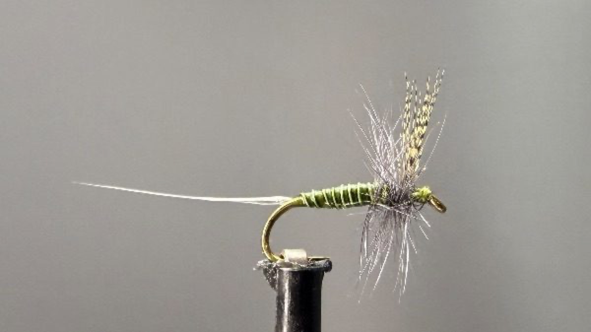 BWO (Blue Winged Olive) Catskills Style fly pattern tied by Dan McNertney