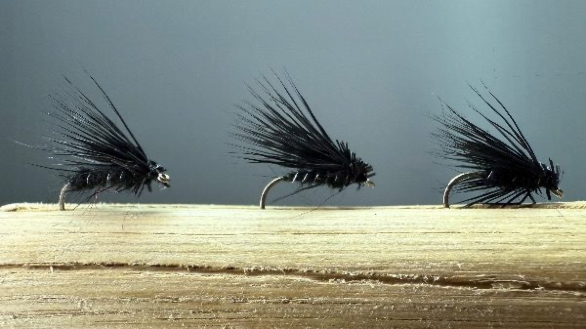 Elk Hair Caddis - Black fly pattern tied by Dan McNertney