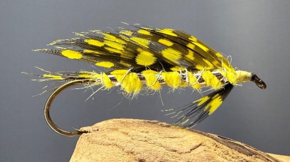 Guinea Matuka fly pattern tied by Dan McNertney