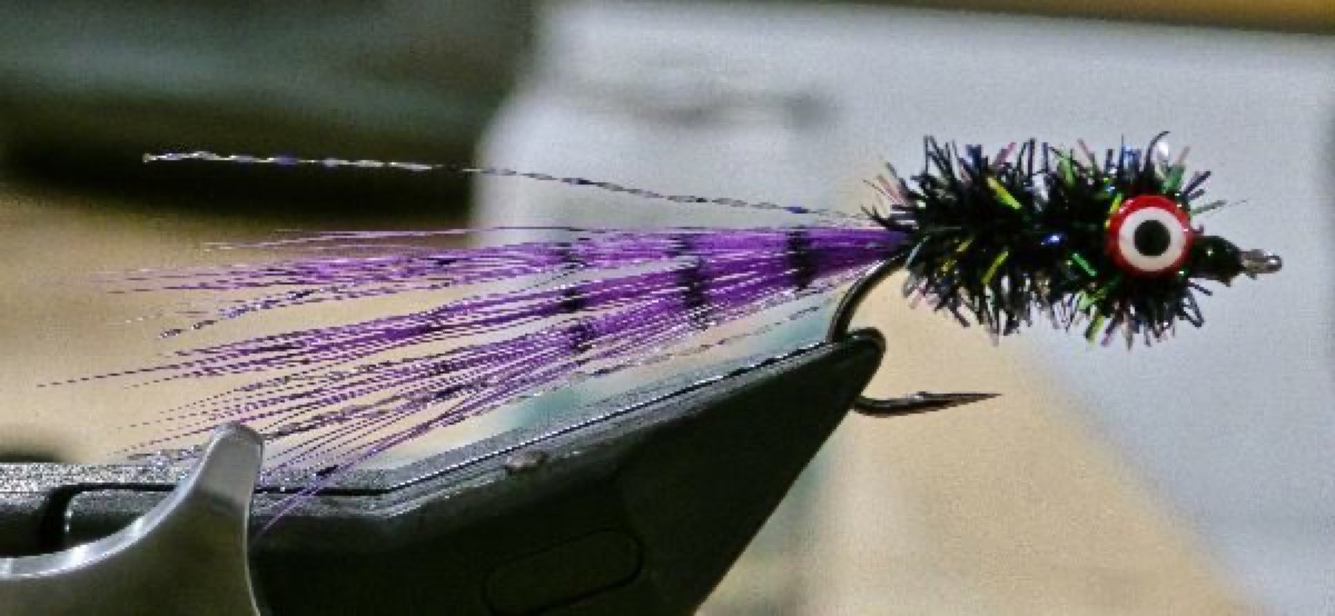 The Faux Electric Chicken fly pattern tied by Darrell Olson