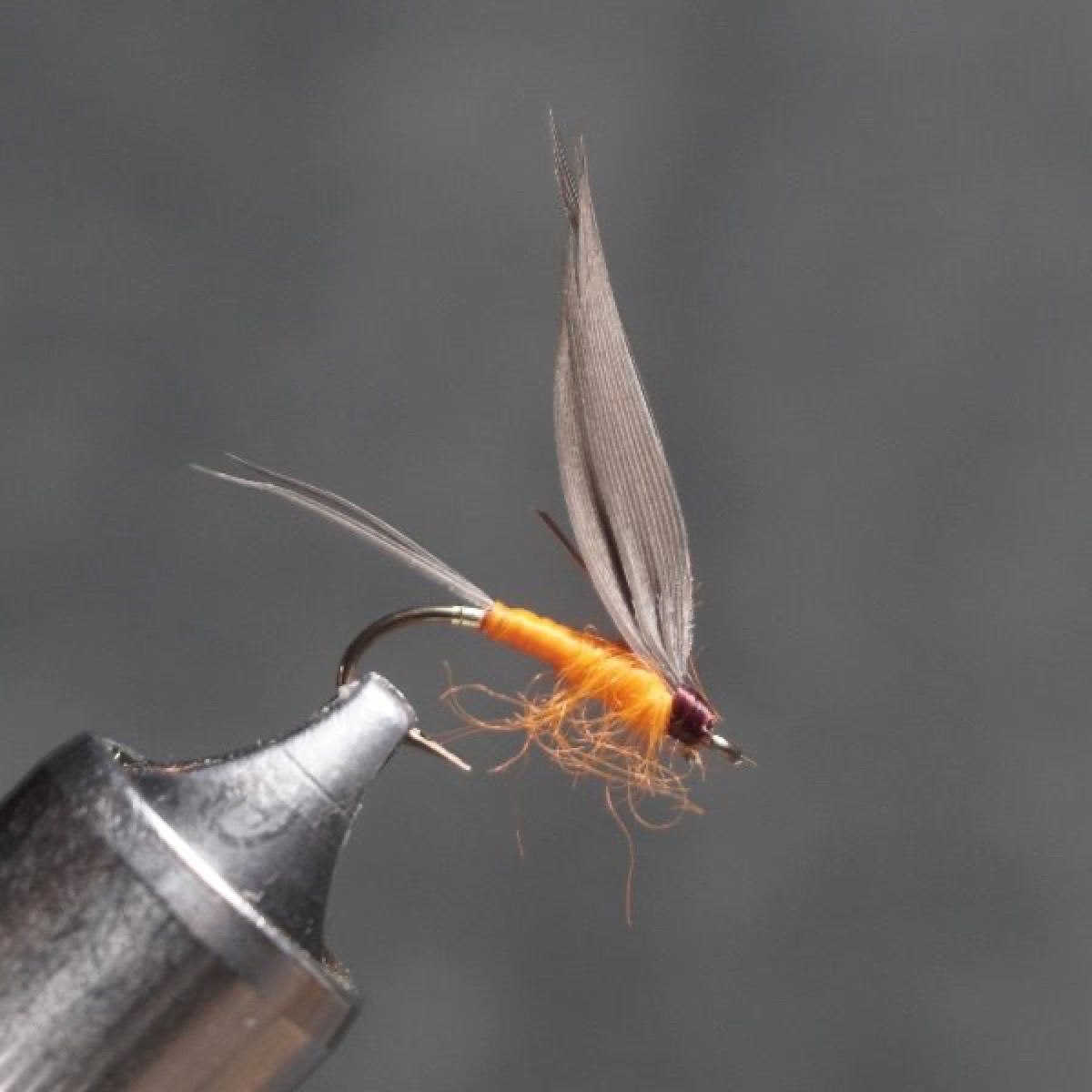 Egg fly pattern tied by Christian Andrews