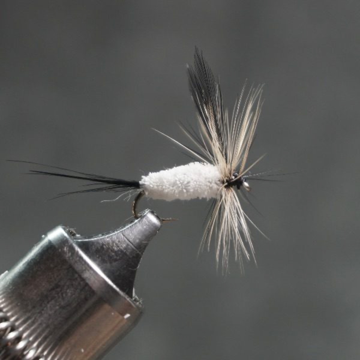 Coffin Fly fly pattern tied by Christian Andrews