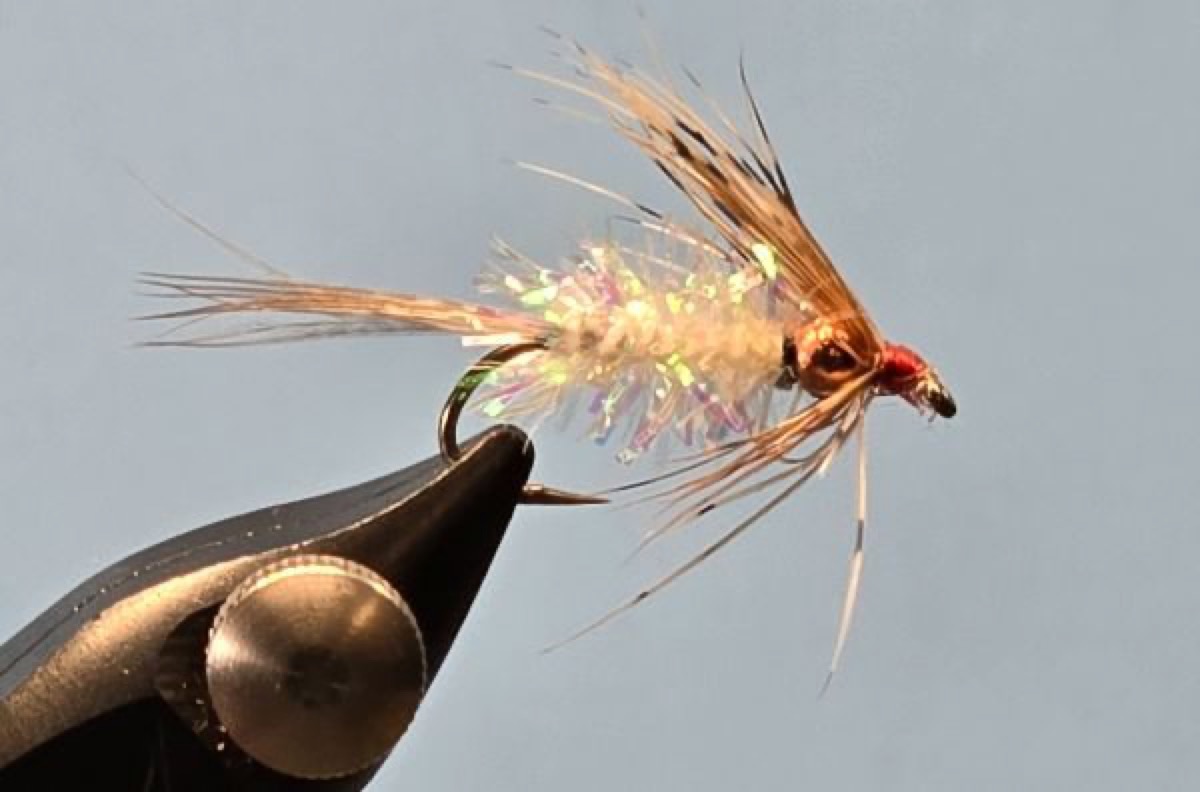 Bream Spider fly pattern tied by Darrell Olson