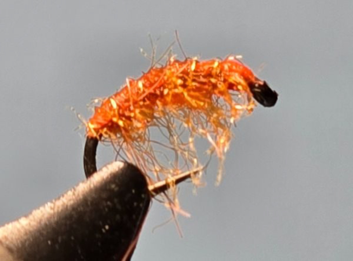 Darrell’s Orange Scud fly pattern tied by Darrell Olson