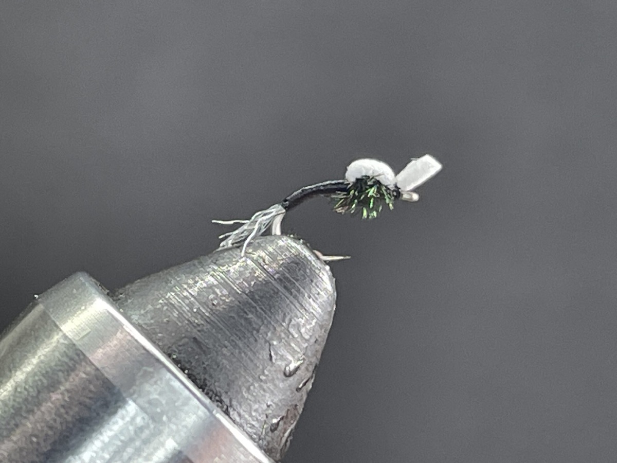 Bubble Head fly pattern tied by Brent Jones