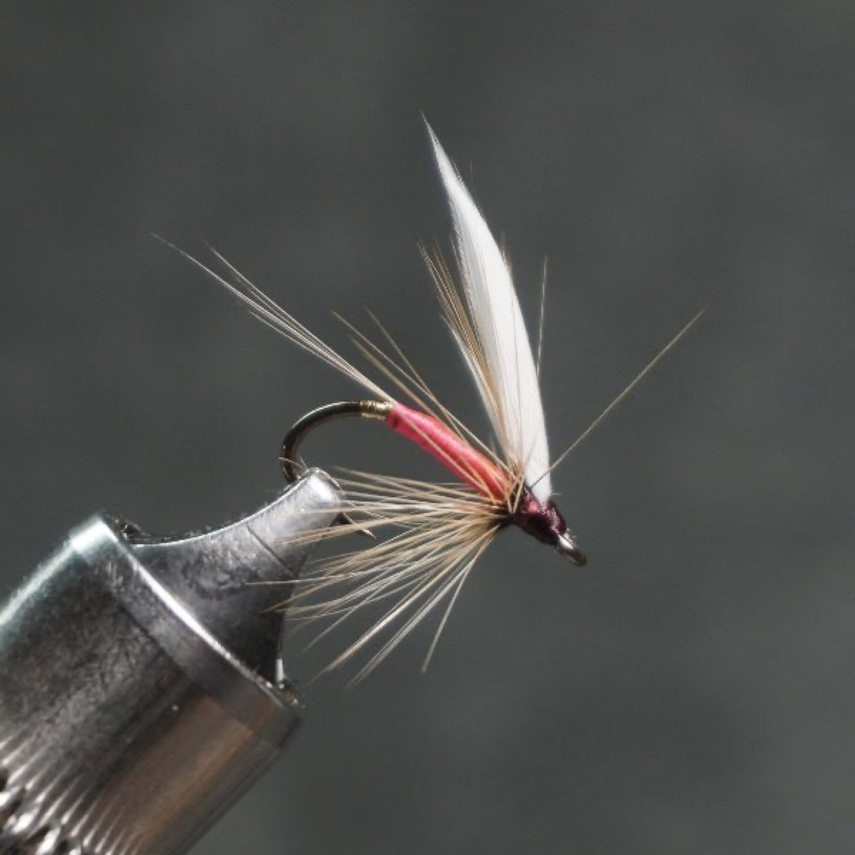 Fin Fly fly pattern tied by Christian Andrews