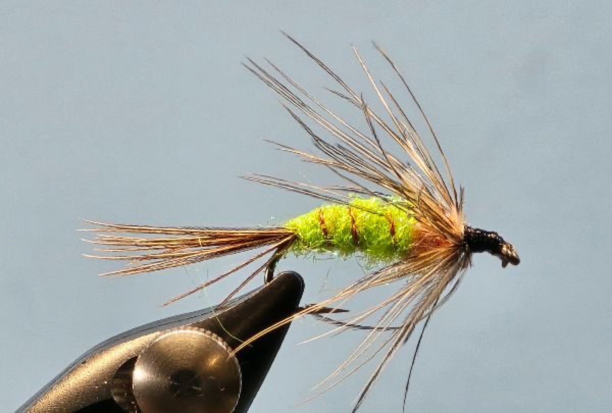 Willowfish Soft Hackle fly pattern tied by Darrell Olson