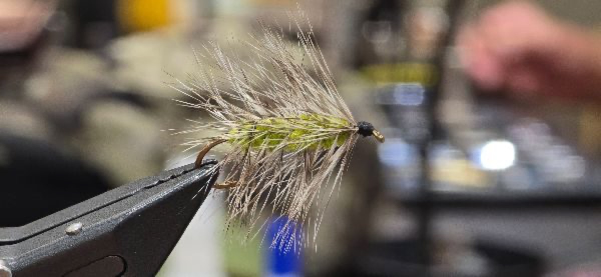 Shockley's Basic Fly fly pattern tied by Darrell Olson