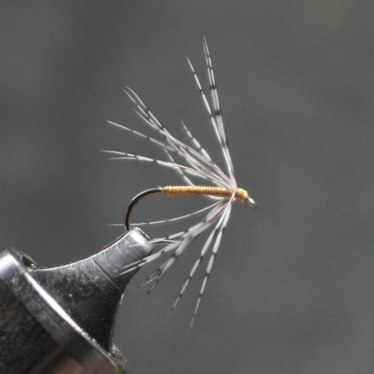 Yellow Partridge fly pattern tied by Christian Andrews