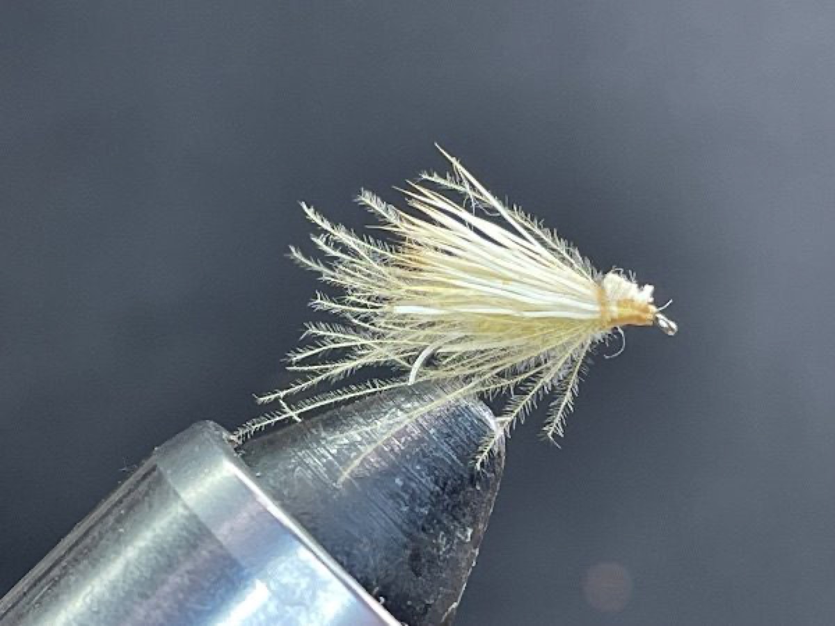 CDC & Elk Hair Caddis (Blond/Tan) fly pattern tied by Brent Jones