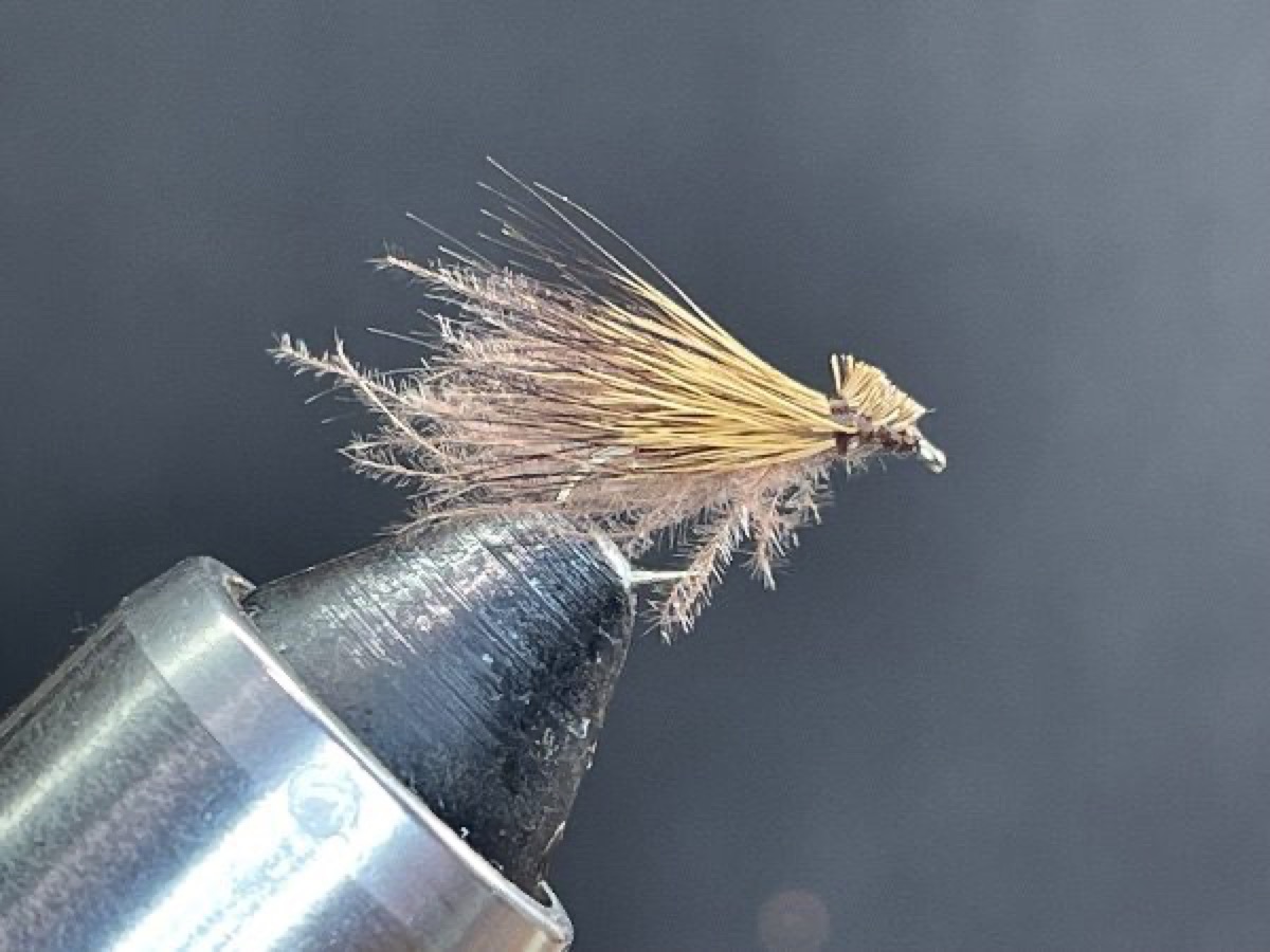 CDC & Elk Hair Caddis (Brown) fly pattern tied by Brent Jones