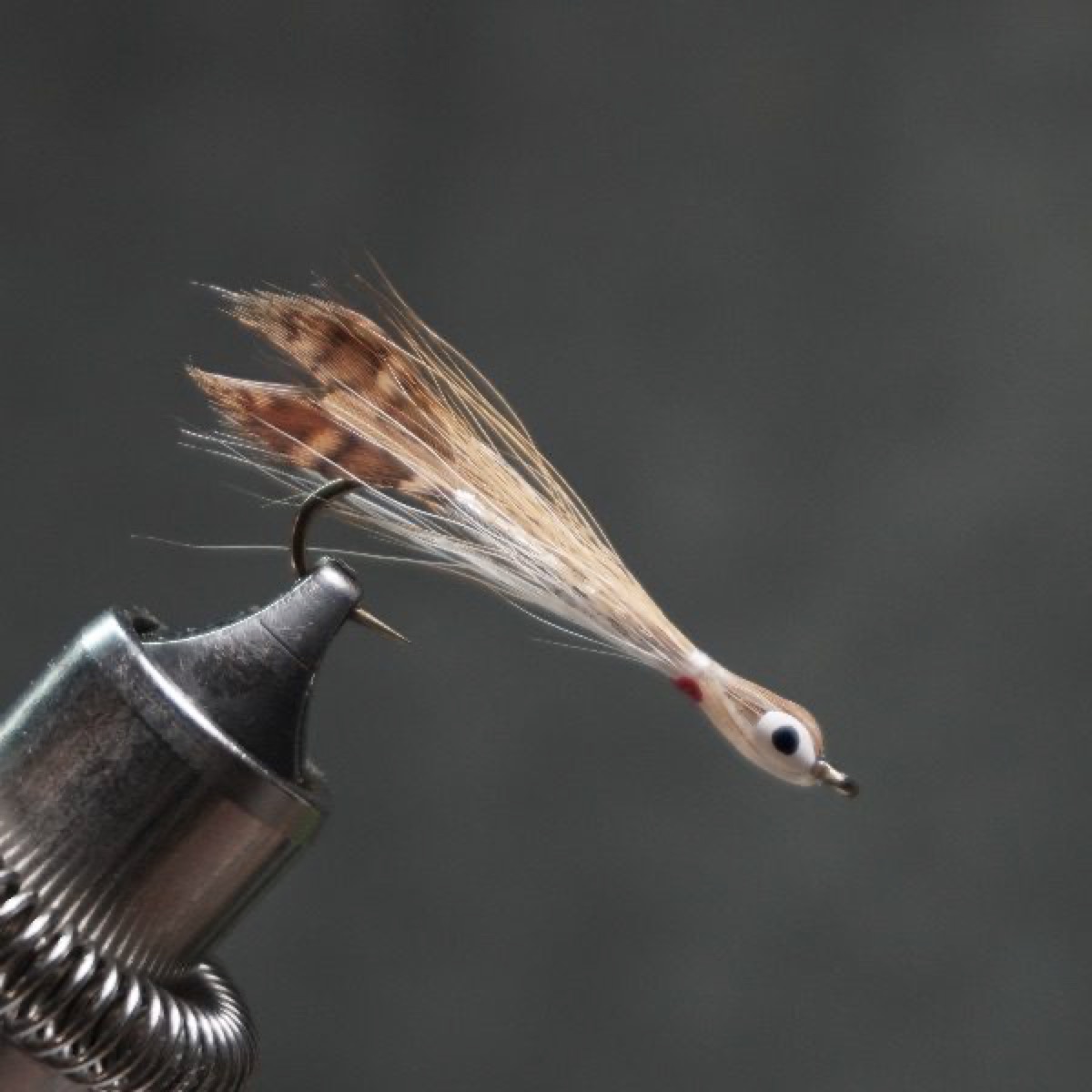 Silver Shiner (Thunder Creek) fly pattern tied by Christian Andrews