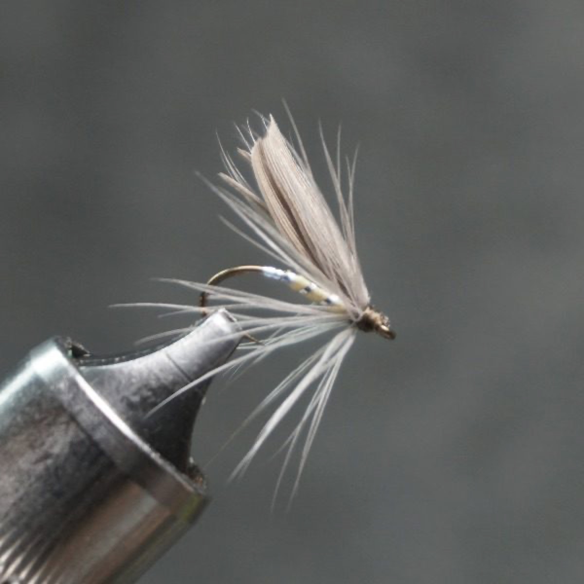 Fern fly pattern tied by Christian Andrews