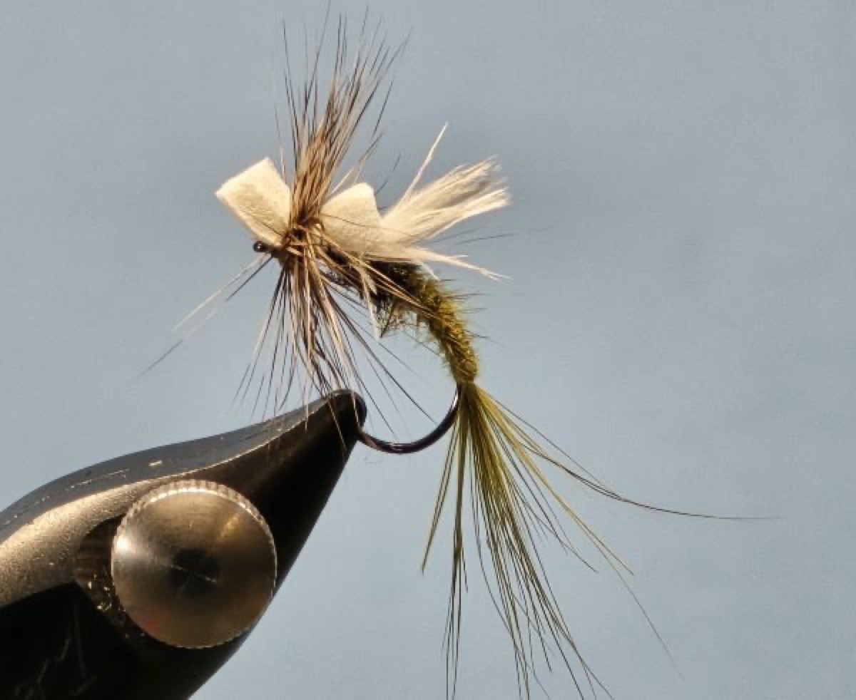 Green Drake Emerger fly pattern tied by Darrell Olson