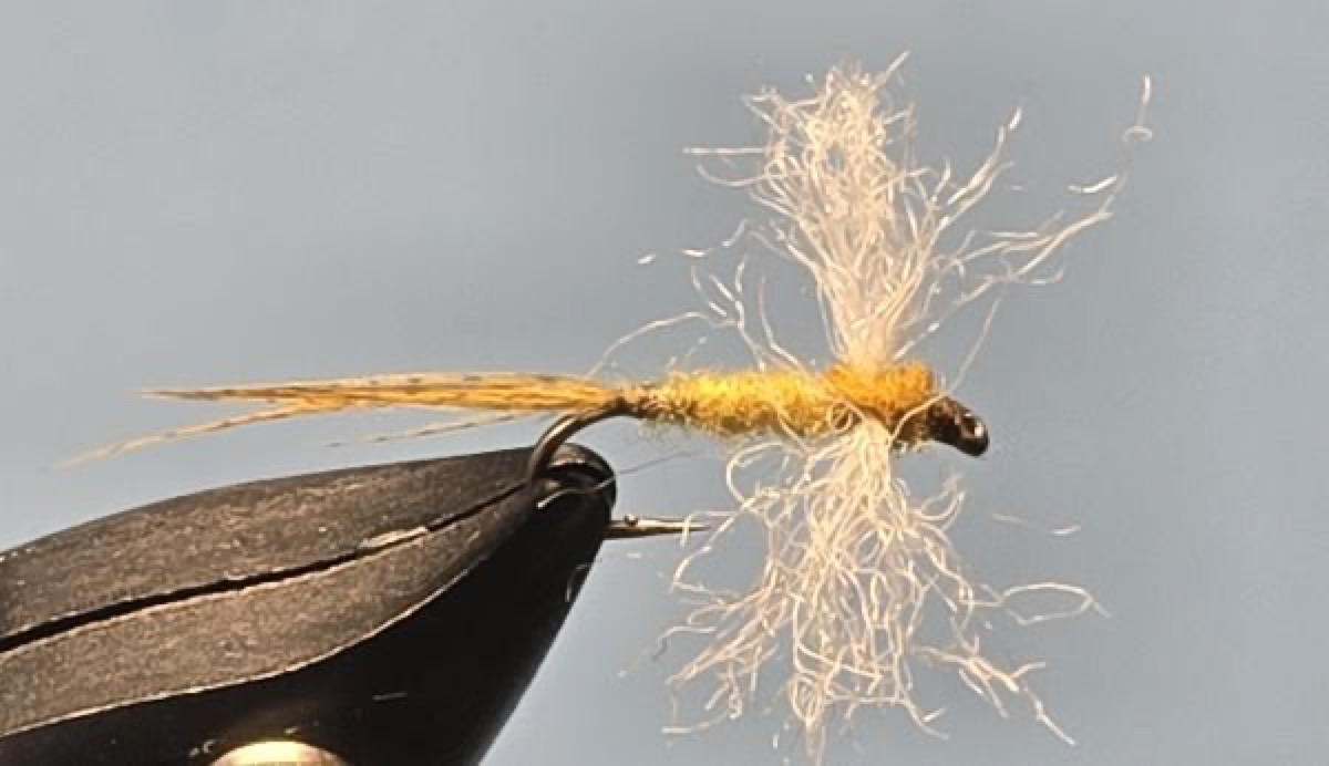 Sulphur Spinner fly pattern tied by Darrell Olson