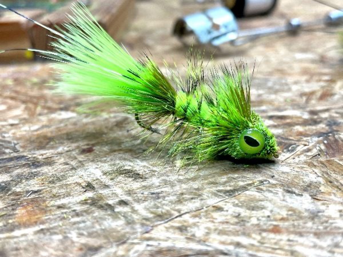 Mud Bugger ( Chartreuse) fly pattern tied by Brent Jones