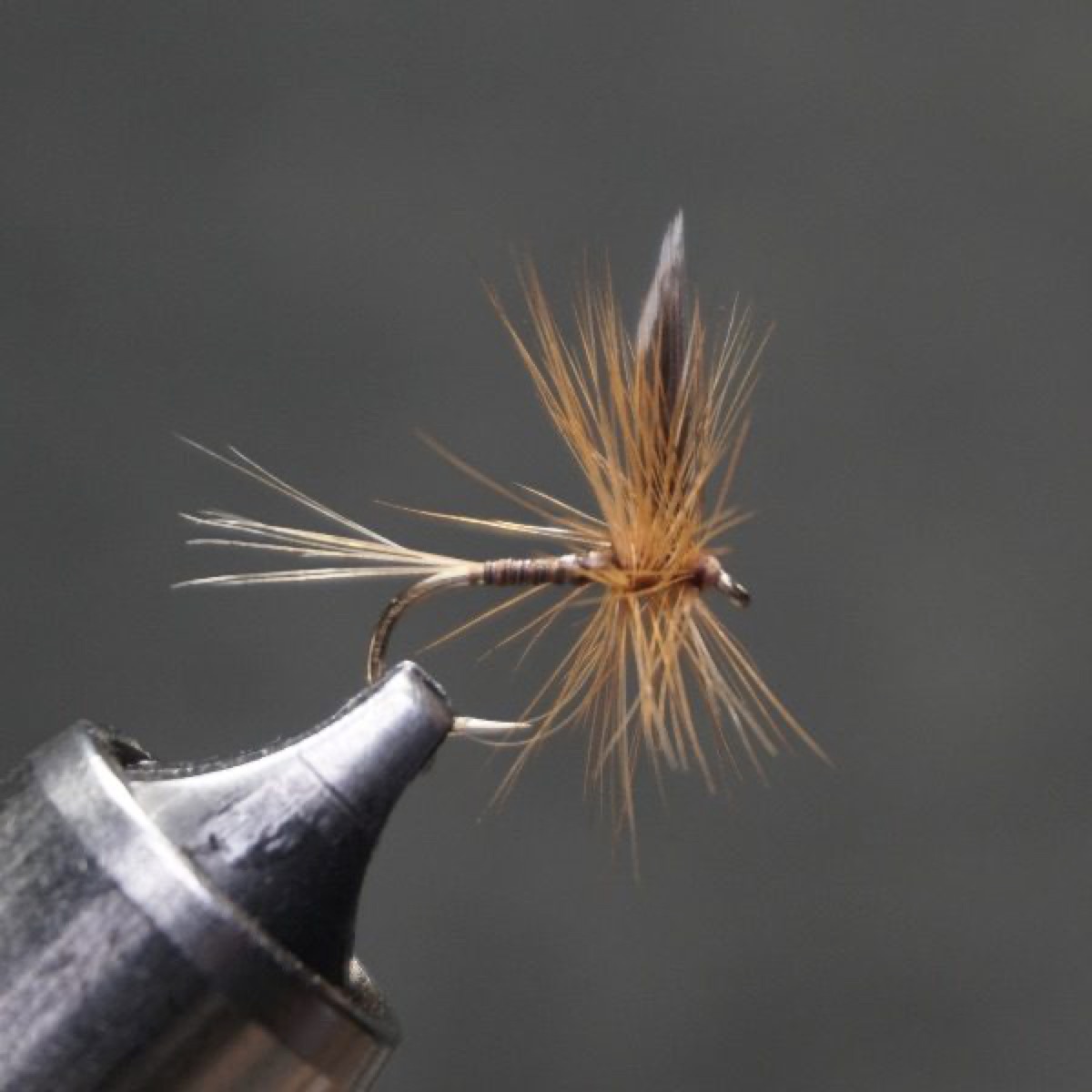 Ginger Quill fly pattern tied by Christian Andrews
