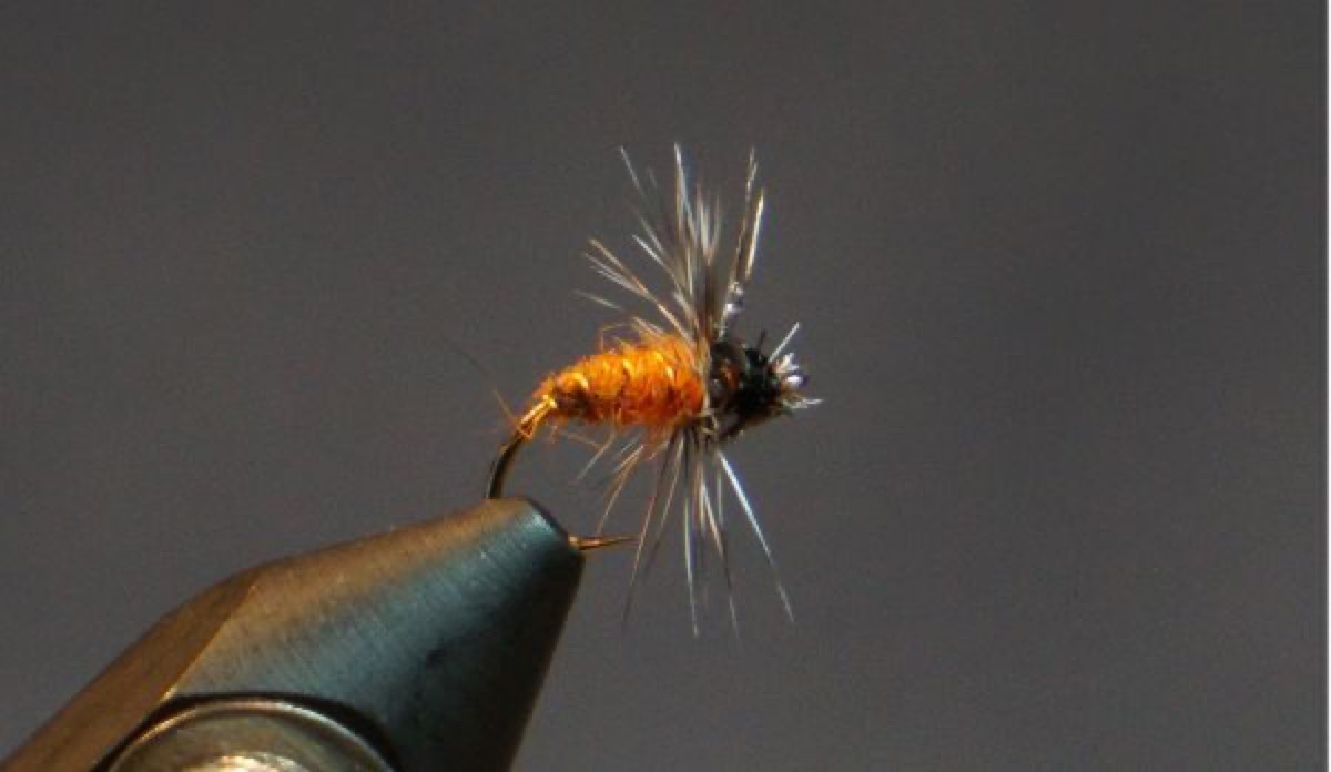 Breadcrust fly pattern tied by Christian Andrews