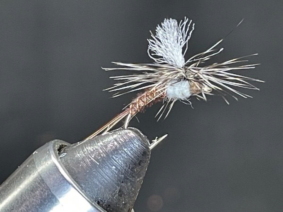 Hendrickson Emerger fly pattern tied by Brent Jones