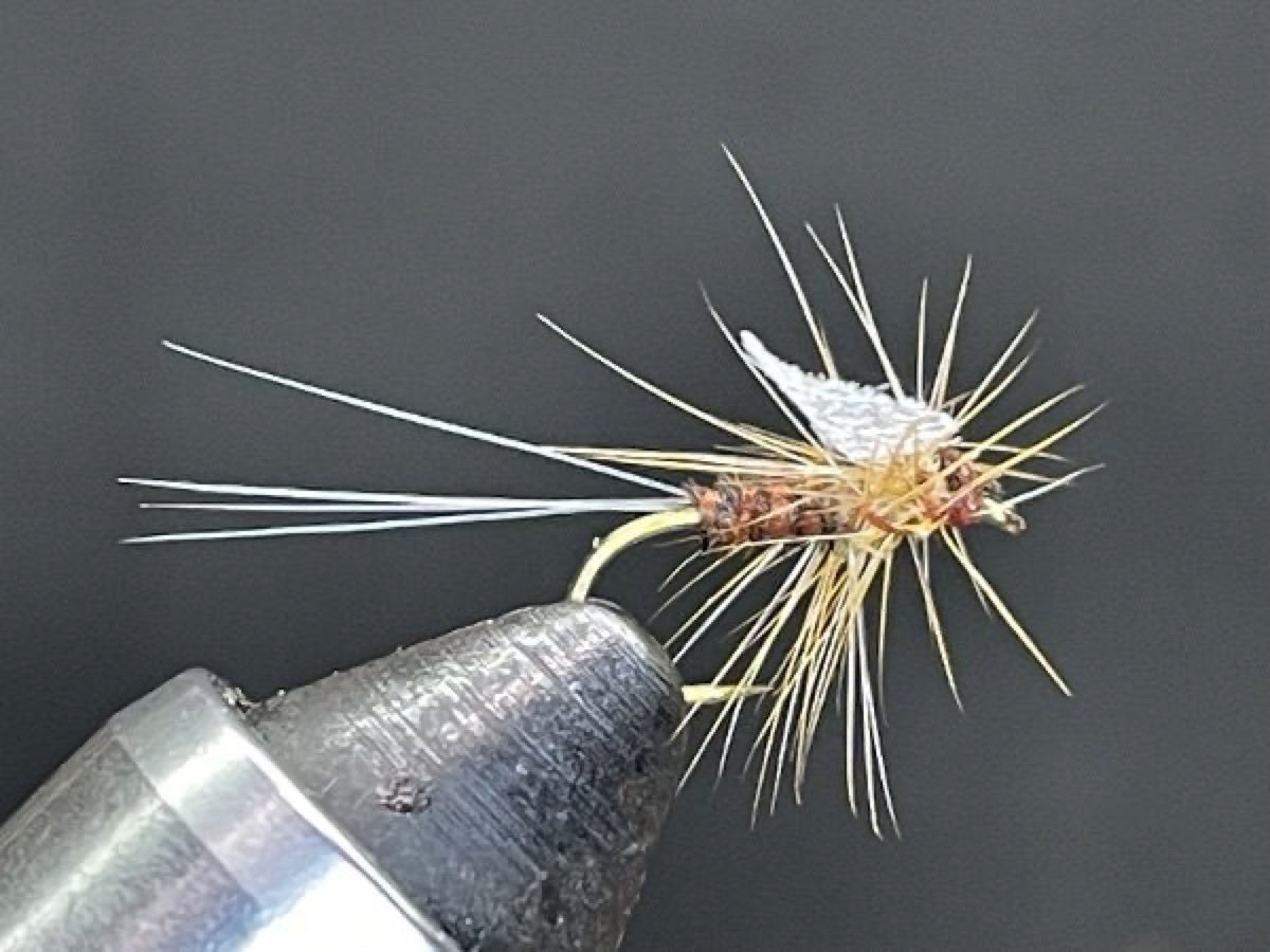 Hendrickson (Ephemerella subvaria) Spinner fly pattern tied by Brent Jones