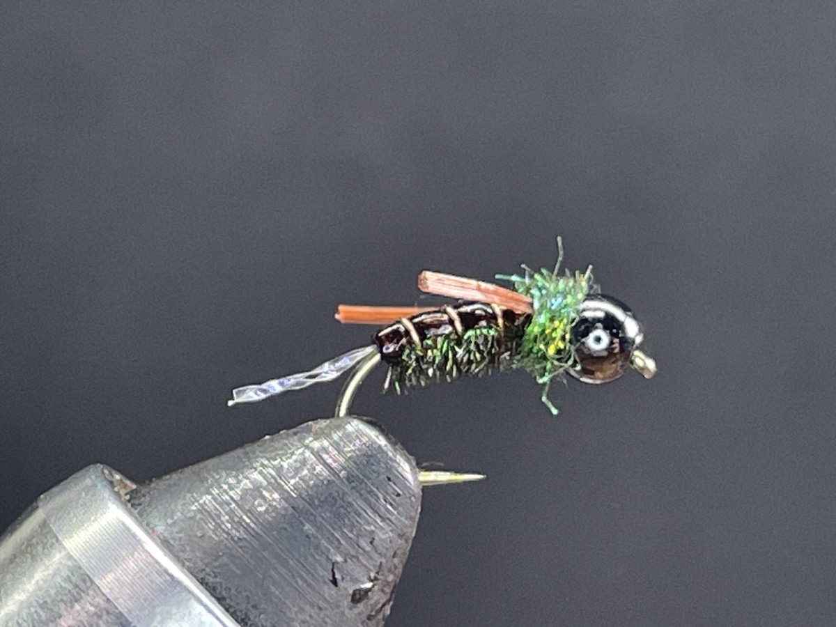Bead Head Back Swimmer fly pattern tied by Brent Jones