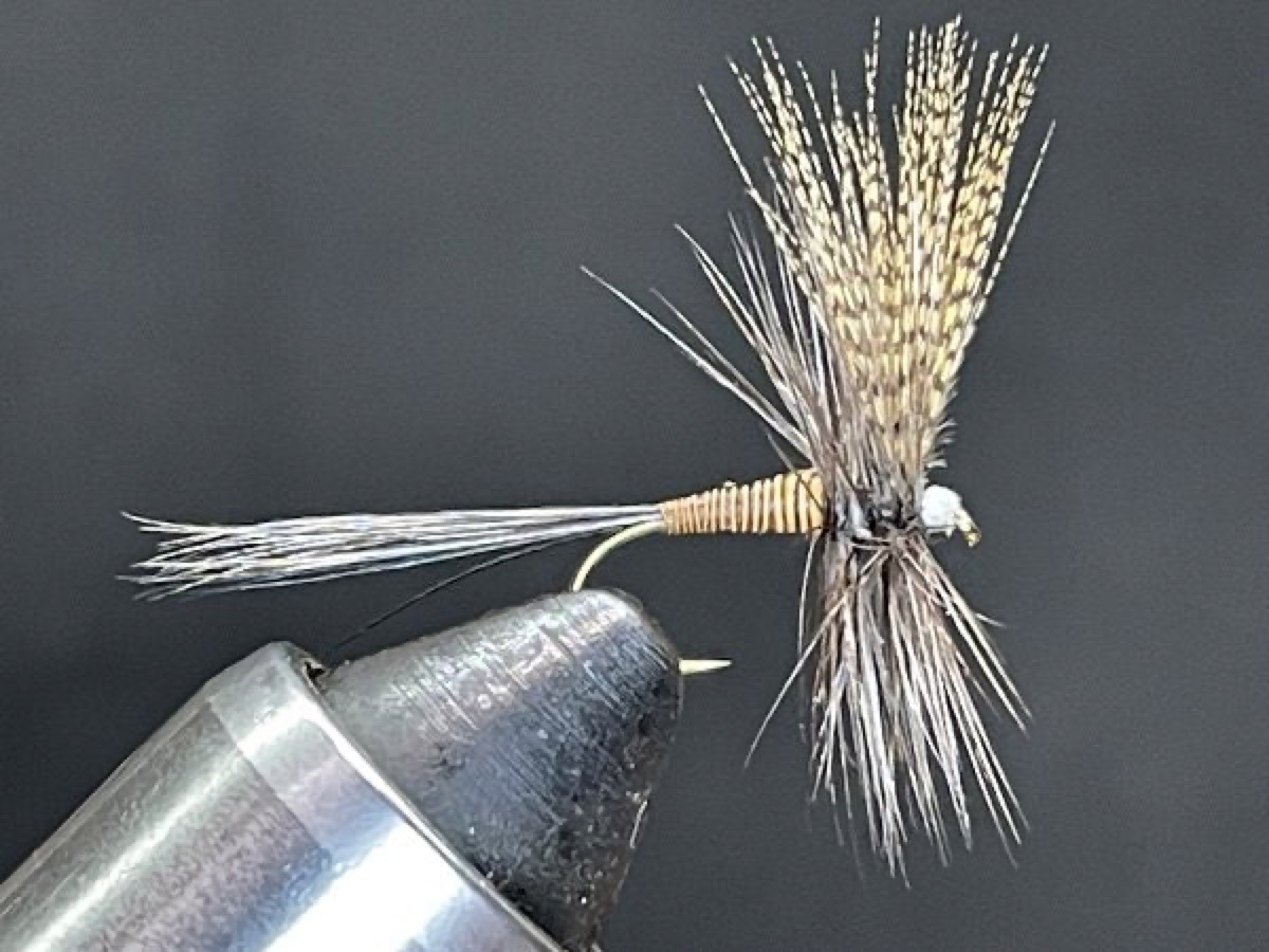 Red Quill , Male Hendrickson (Ephemerella subvaria) fly pattern tied by Brent Jones