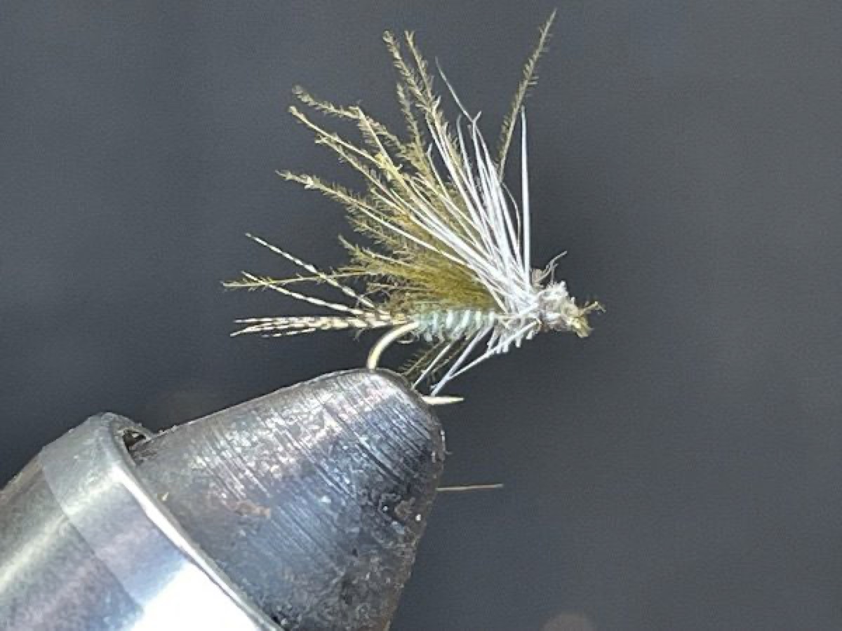 Low Rider BWO (Baetis) fly pattern tied by Brent Jones