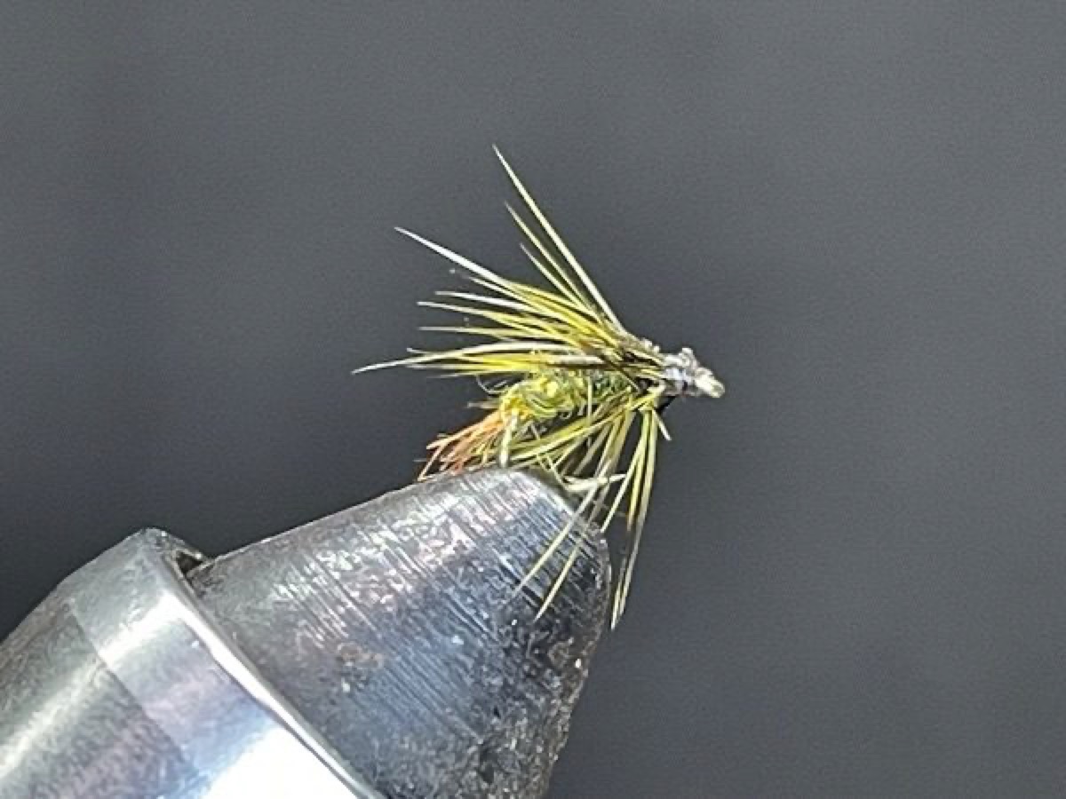 BWO Wet Hackle (soft) fly pattern tied by Brent Jones