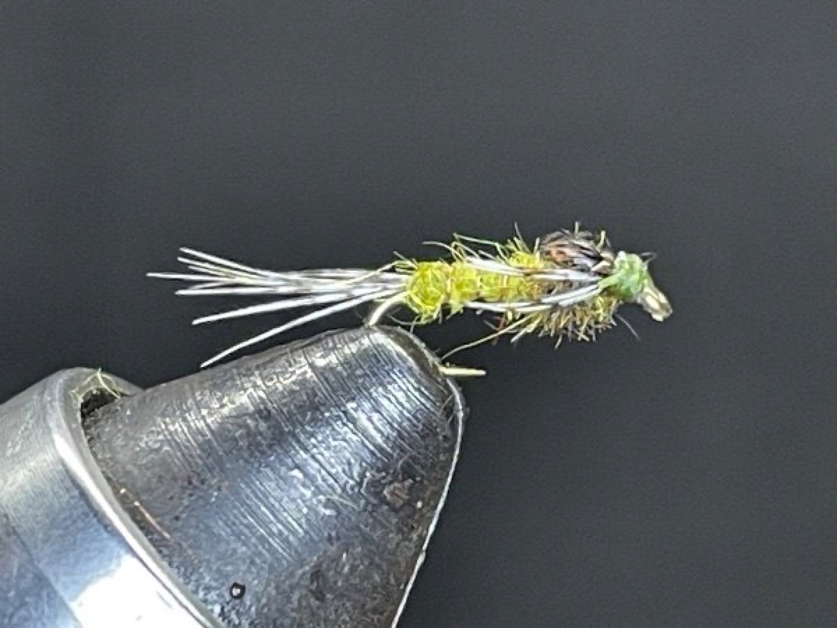 BWO Nymph (Baetis) fly pattern tied by Brent Jones
