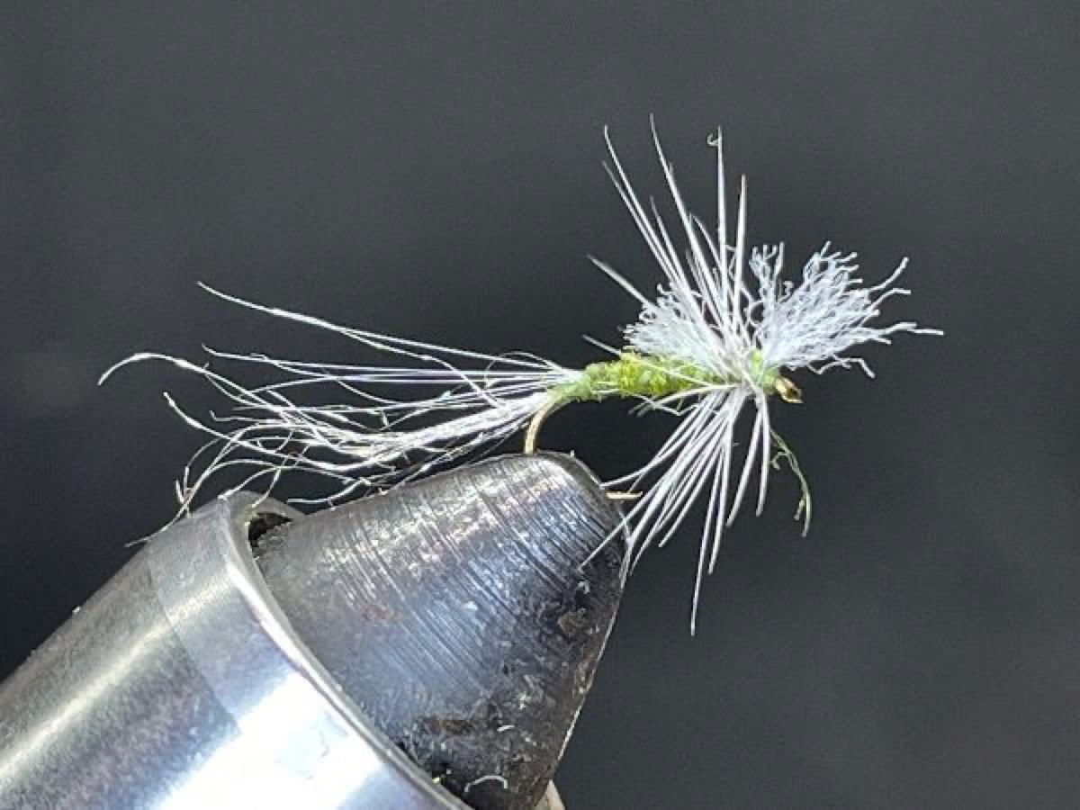 BWO Cripple (Baetis) fly pattern tied by Brent Jones