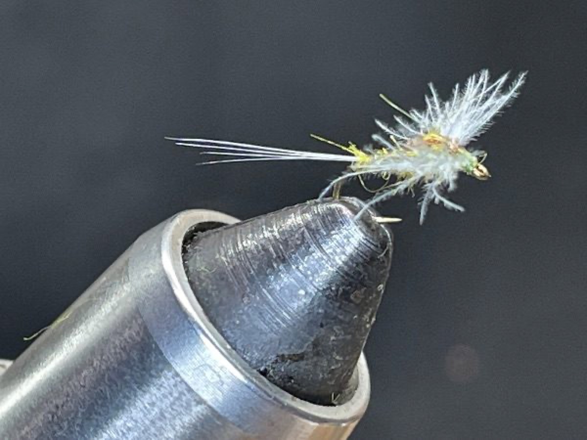 BWO Spinner (Baetis) fly pattern tied by Brent Jones