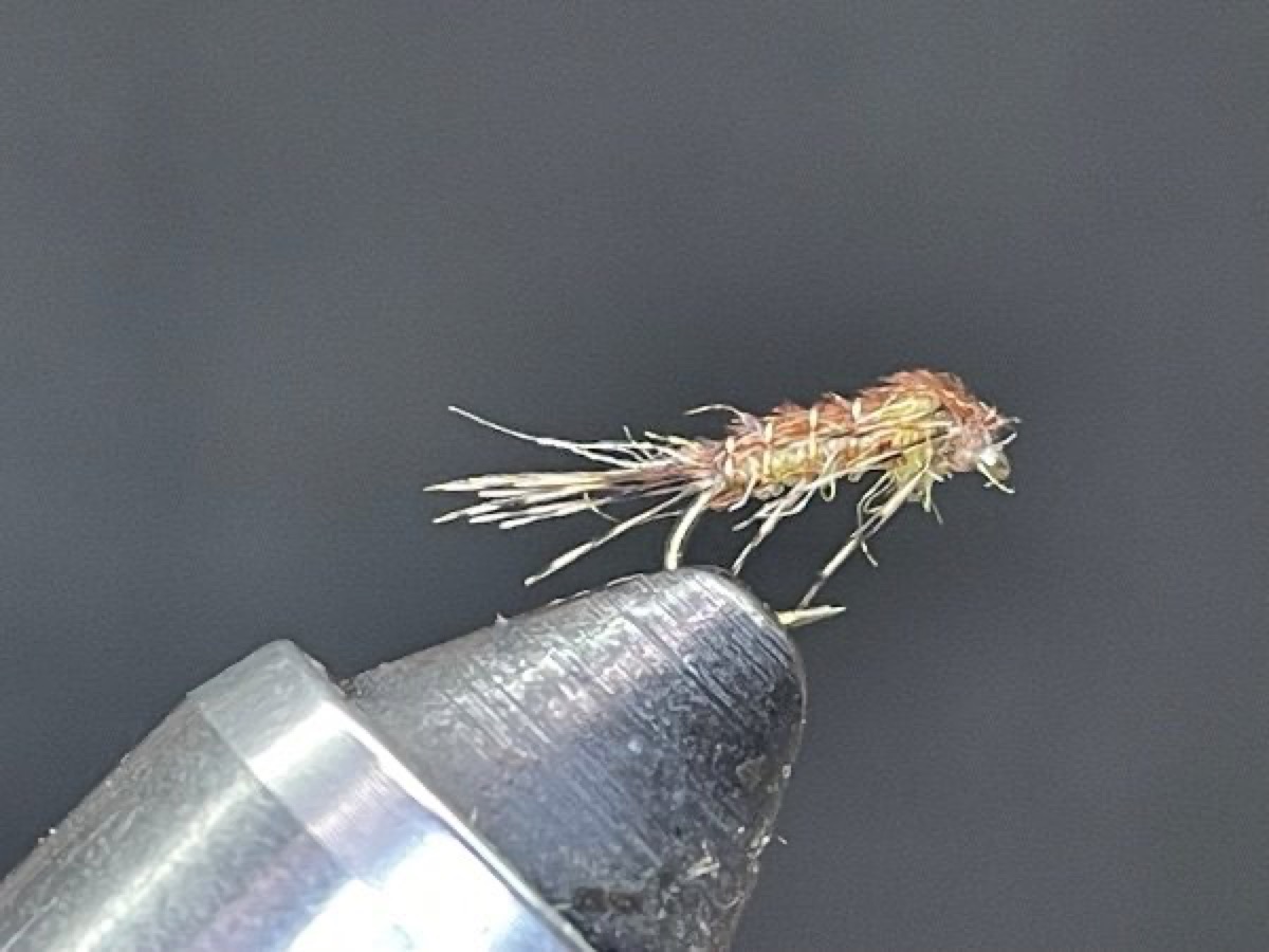 PMD Nymph (Ephemerella dorothea) fly pattern tied by Brent Jones