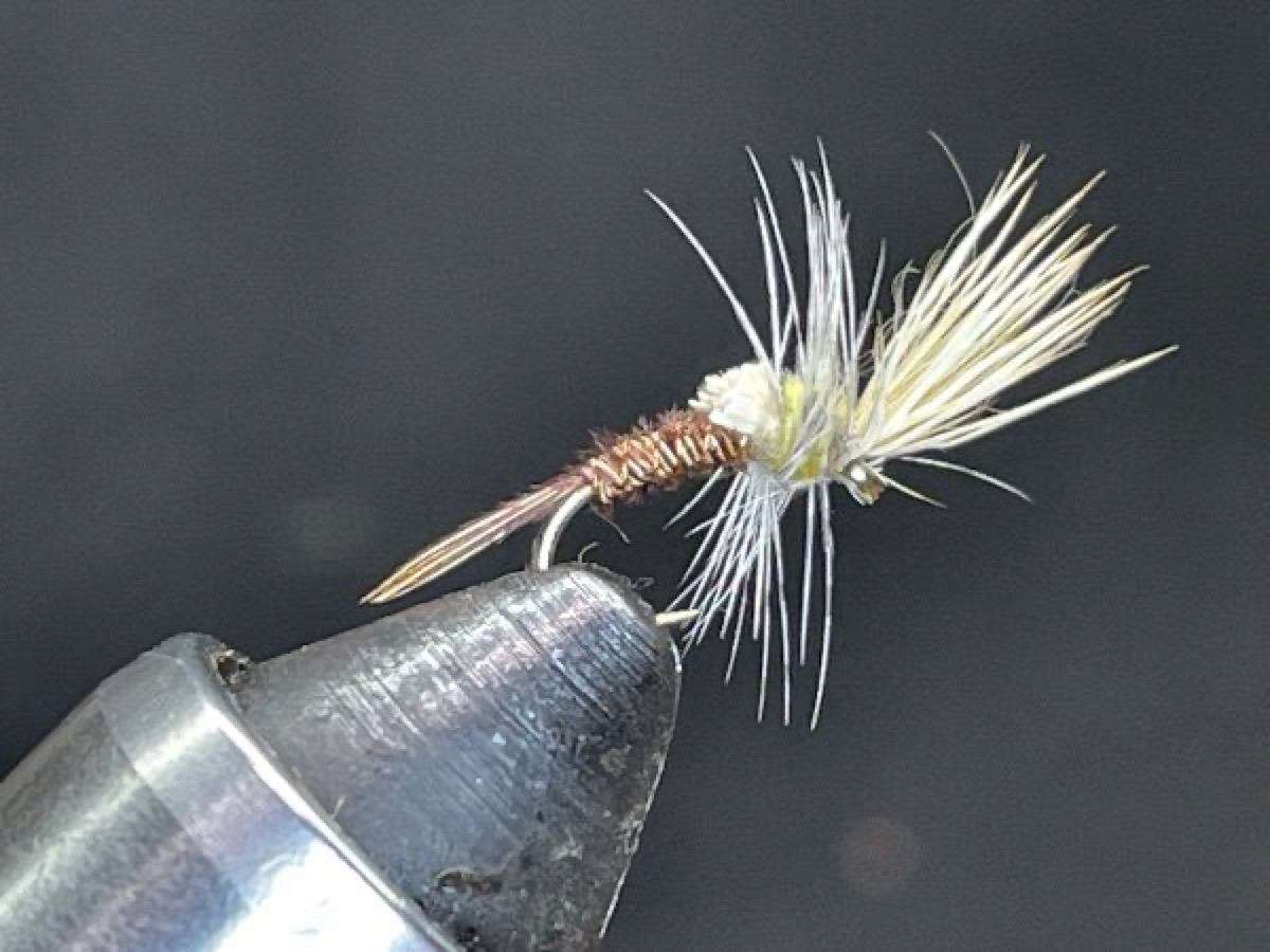 Pale Morning Dun (PMD) Emerger (Ephemerella dorothea) fly pattern tied by Brent Jones