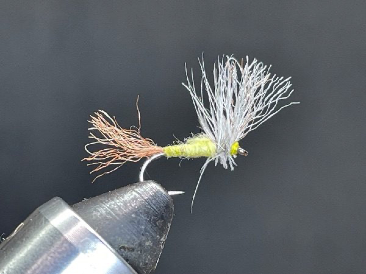 PMD Cripple (Ephemerella dorothea) fly pattern tied by Brent Jones