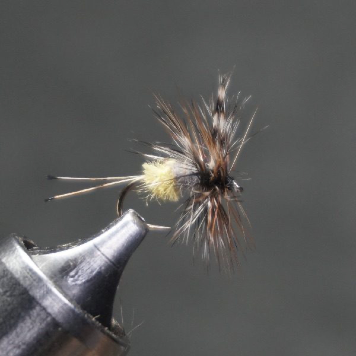 Female Adams fly pattern tied by Christian Andrews
