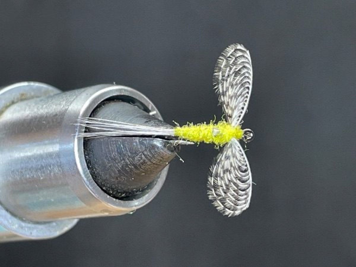 PMD Spinner (Ephemerella dorothea) fly pattern tied by Brent Jones