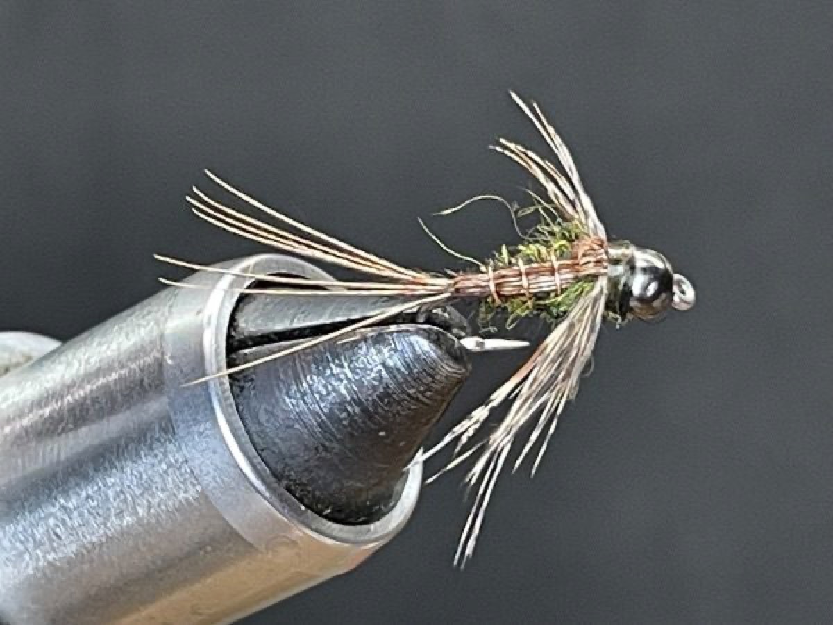 Green Drake Nymph (Ephemera guttulata) fly pattern tied by Brent Jones