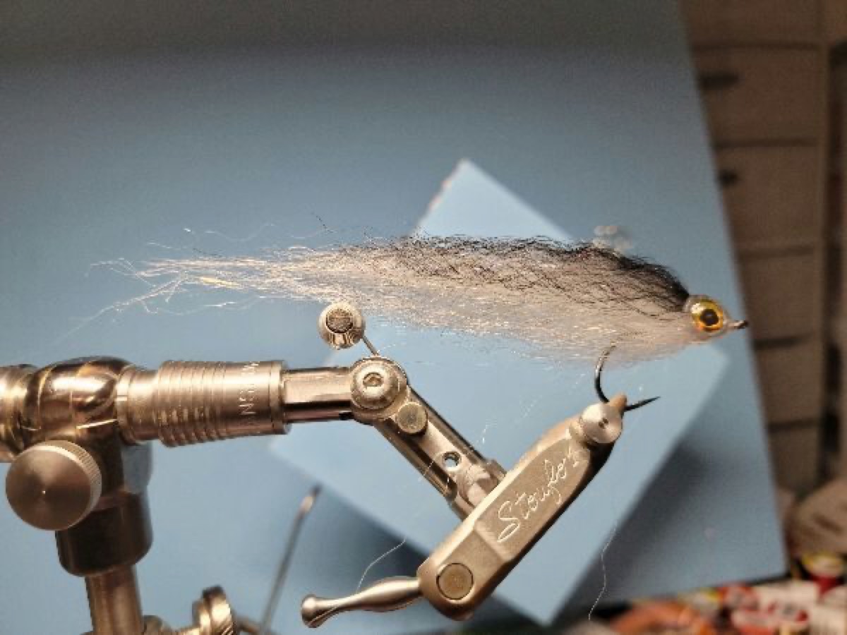 MC Mullet Minnow fly pattern tied by Darrell Olson