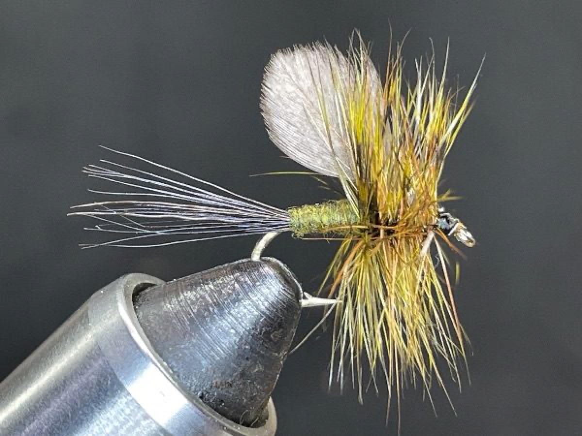 Green Drake Dun (Ephemera guttulata) fly pattern tied by Brent Jones