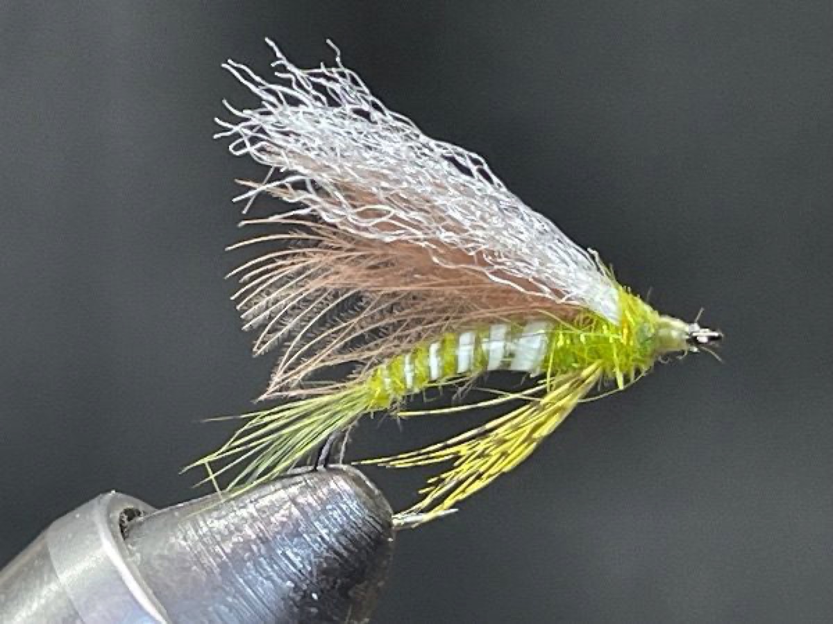 Green Drake Emerger (Ephemera guttulata) fly pattern tied by Brent Jones