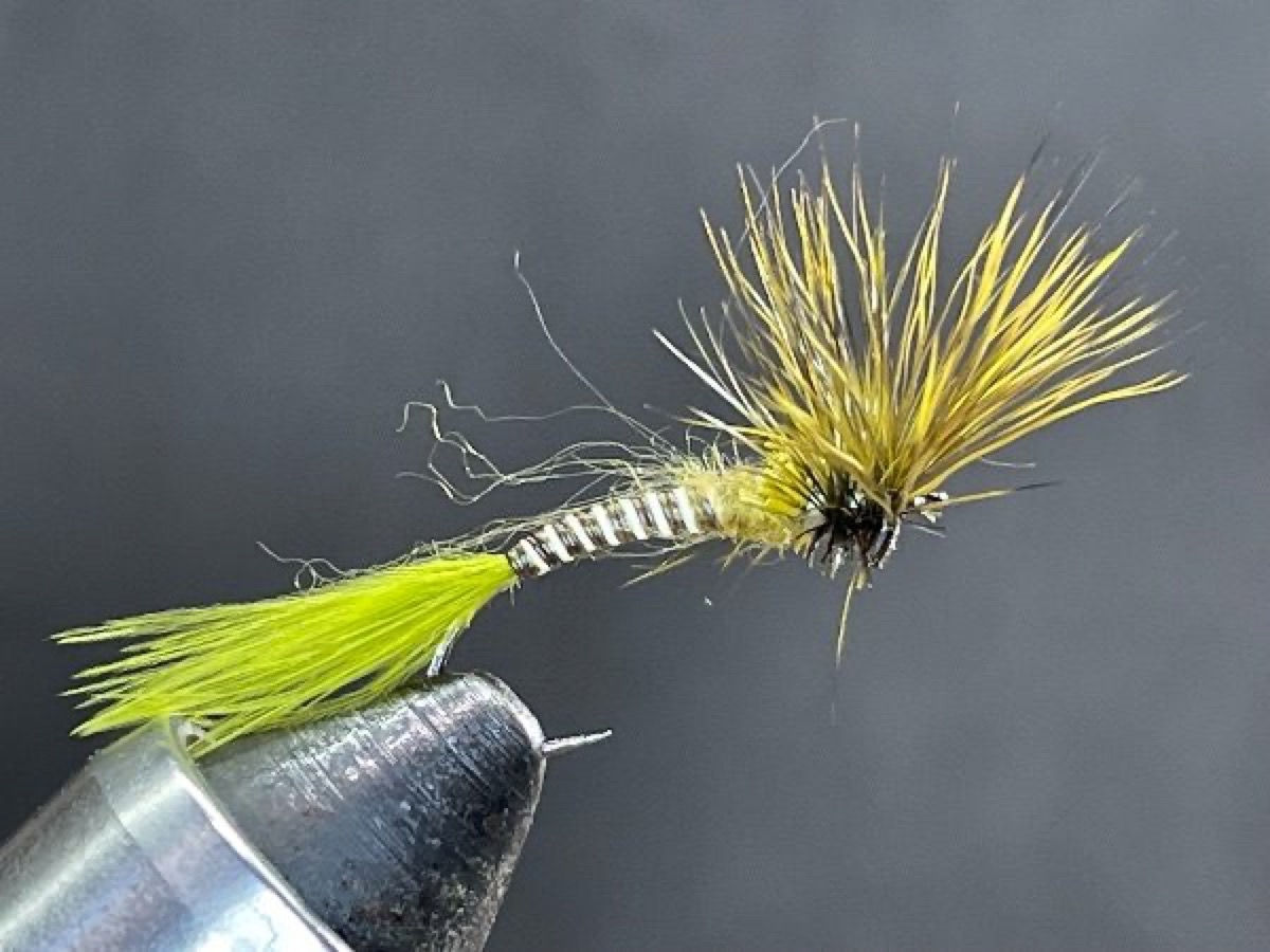 Green Drake Cripple (Ephemera guttulata) fly pattern tied by Brent Jones