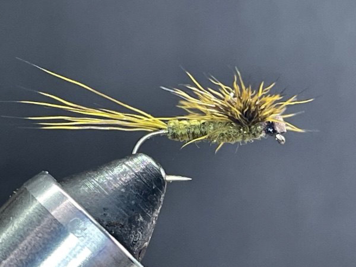 Spent Green Drake (Ephemera guttulata) fly pattern tied by Brent Jones