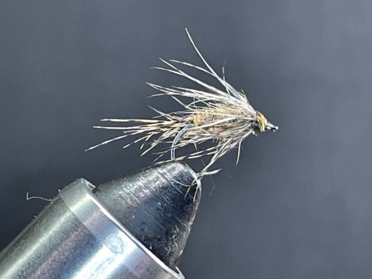 March Brown Soft Hackle Nymph (Maccaffertium vicarium) fly pattern tied by Brent Jones