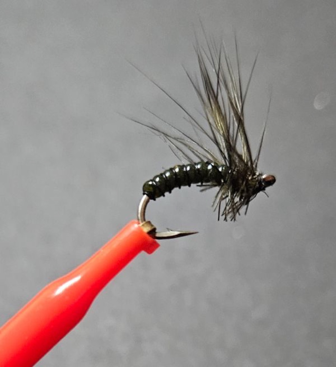 Green Drake Emerger fly pattern tied by Will Arrant