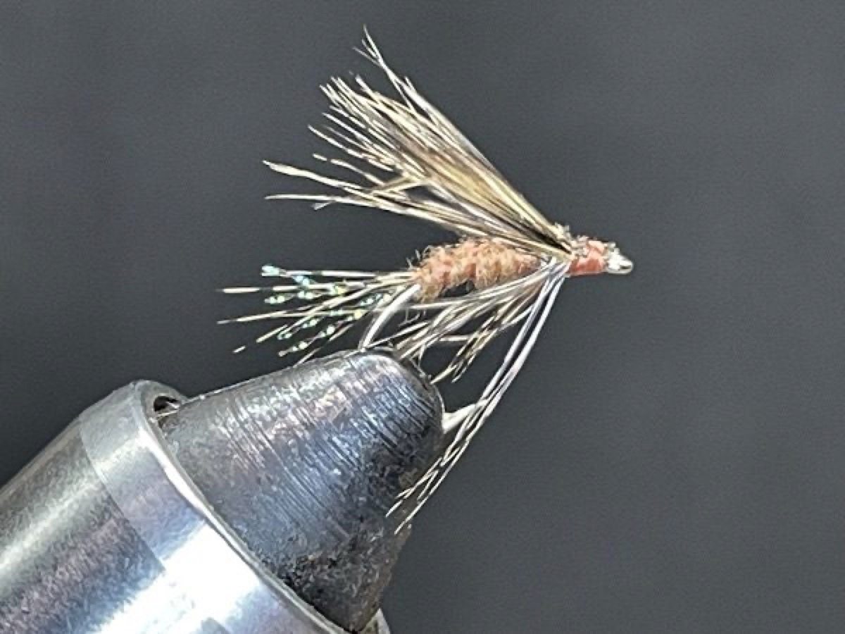 March Brown Wet Emerger (Maccaffertium vicarium) fly pattern tied by Brent Jones