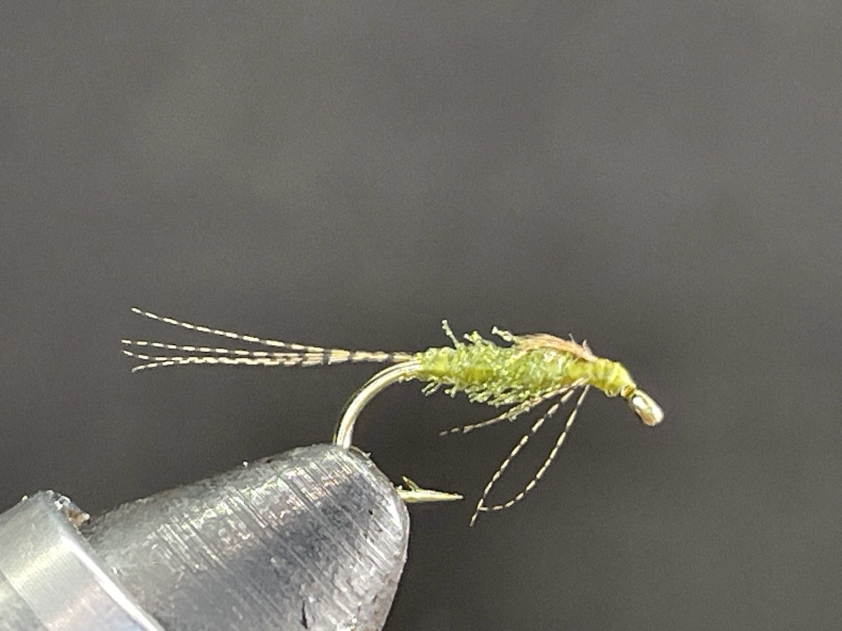 Organza Beatis Nymph fly pattern tied by Brent Jones
